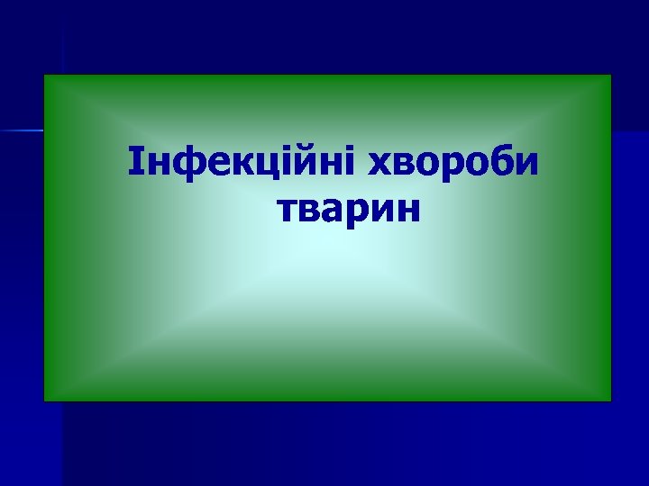 Інфекційні хвороби тварин 