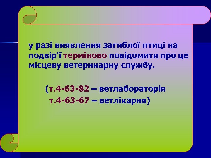у разі виявлення загиблої птиці на подвір'ї терміново повідомити про це місцеву ветеринарну службу.