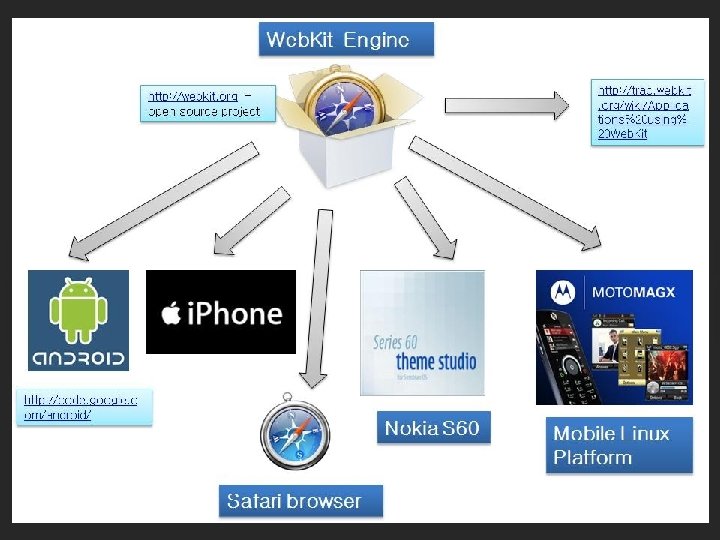 What Groups are Responsible for Managing it? 