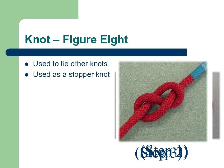 Knot – Figure Eight l l Used to tie other knots Used as a