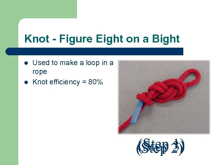 Knot - Figure Eight on a Bight l l Used to make a loop