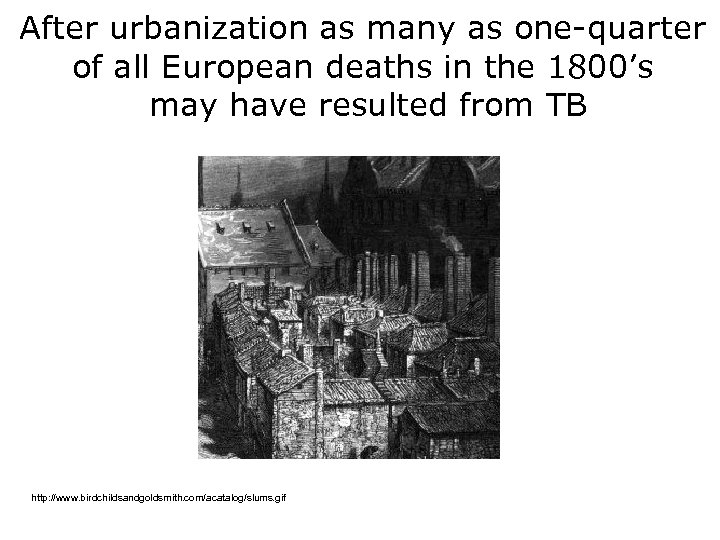 After urbanization as many as one-quarter of all European deaths in the 1800’s may