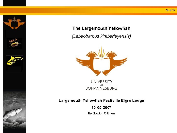 Phi 4: 13 The Largemouth Yellowfish (Labeobarbus kimberleyensis) Largemouth Yellowfish Festiville Elgro Lodge 10