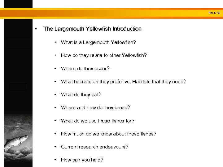 Phi 4: 13 • The Largemouth Yellowfish Introduction • What is a Largemouth Yellowfish?