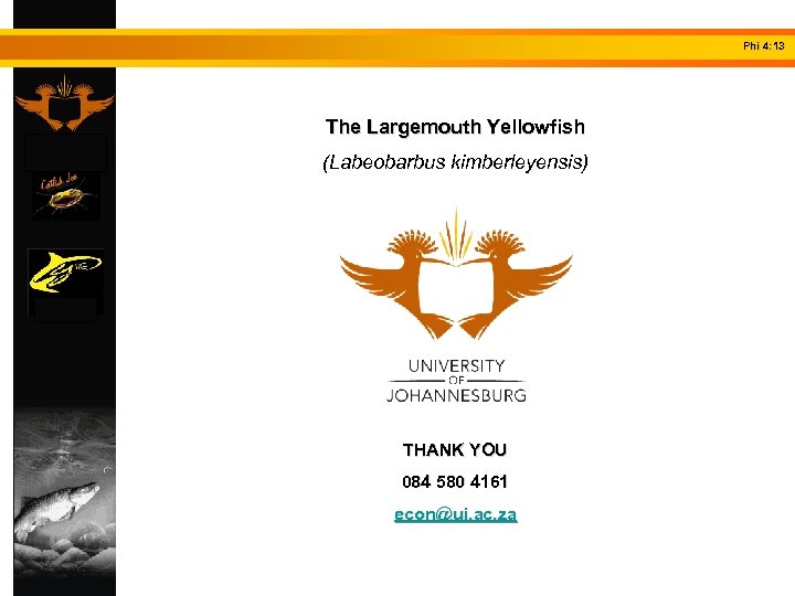 Phi 4: 13 The Largemouth Yellowfish (Labeobarbus kimberleyensis) THANK YOU 084 580 4161 econ@uj.