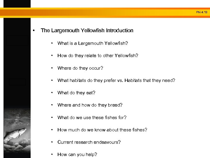 Phi 4: 13 • The Largemouth Yellowfish Introduction • What is a Largemouth Yellowfish?