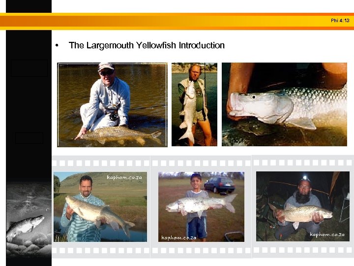 Phi 4: 13 • The Largemouth Yellowfish Introduction 