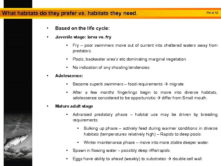 What habitats do they prefer vs. habitats they need. • Based on the life