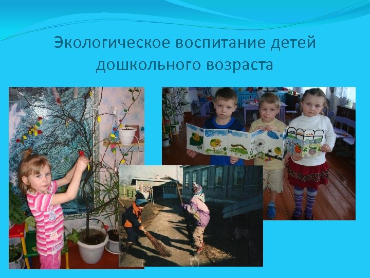 Экологическое воспитание детей дошкольного возраста 