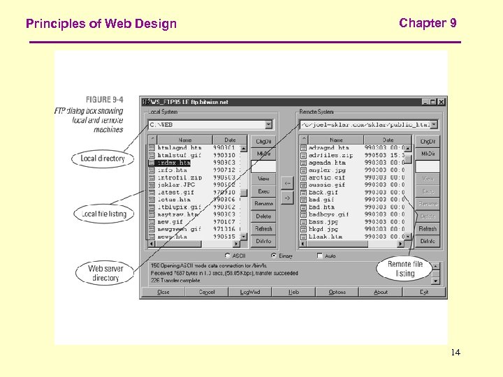 Principles of Web Design Chapter 9 14 