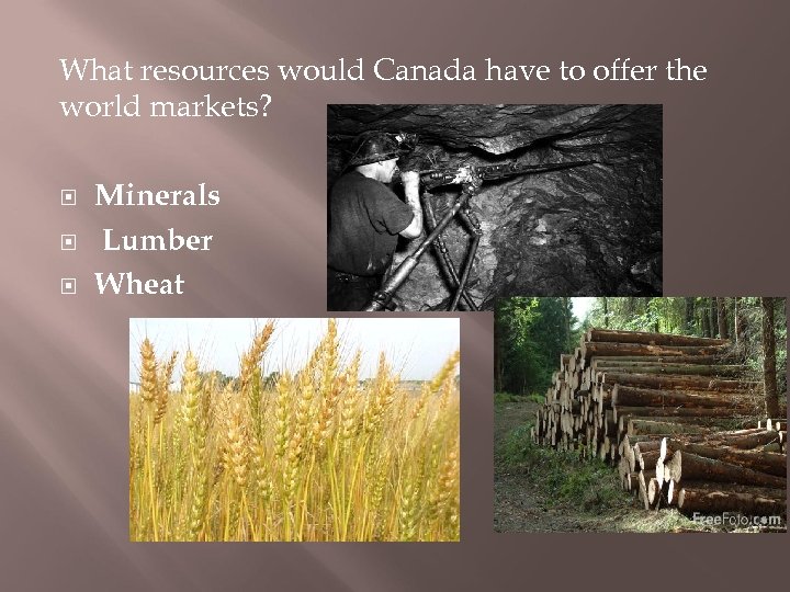 What resources would Canada have to offer the world markets? Minerals Lumber Wheat 