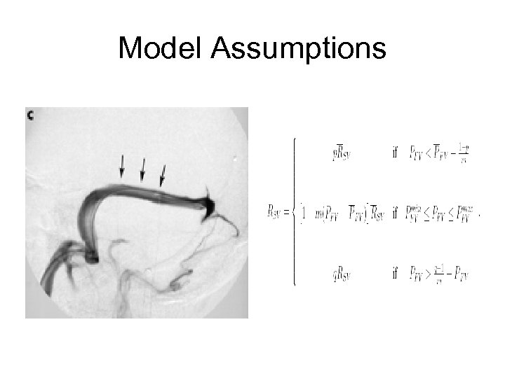 Model Assumptions 