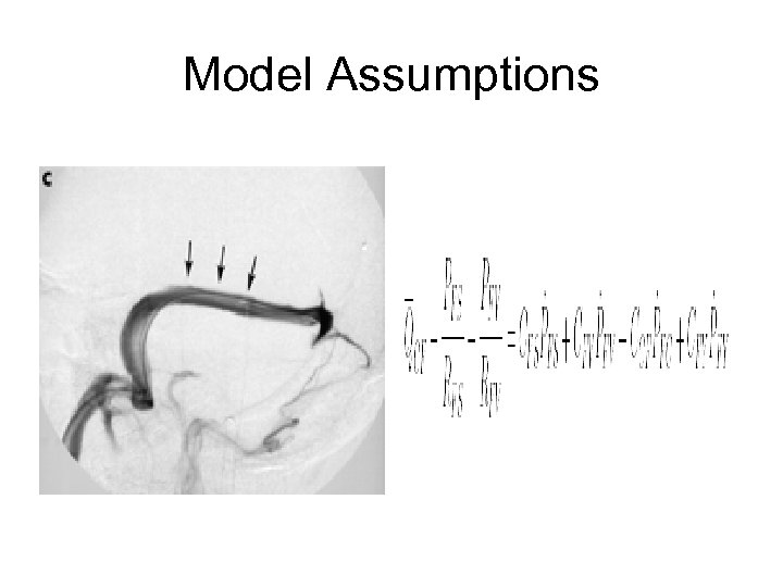 Model Assumptions 