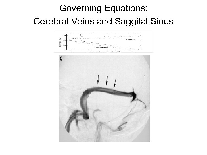 Governing Equations: Cerebral Veins and Saggital Sinus 