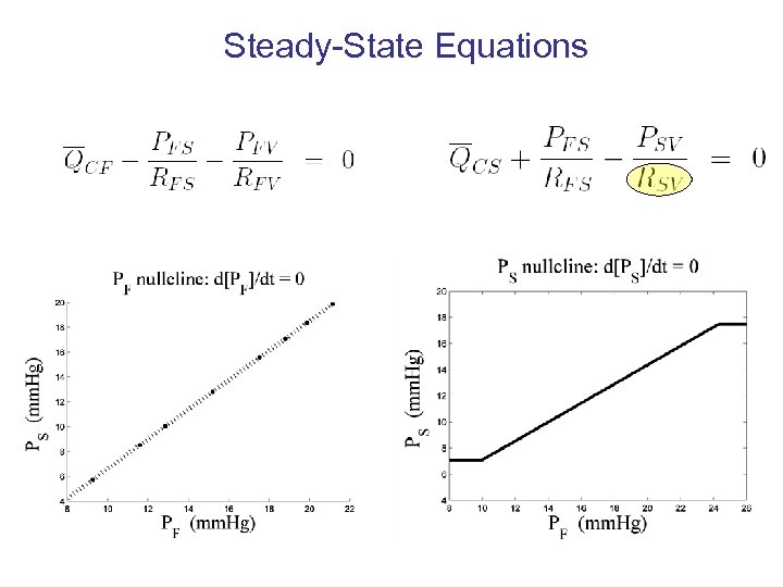 Steady-State Equations 