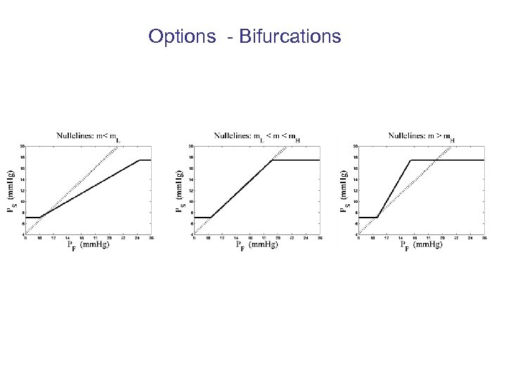 Options - Bifurcations 