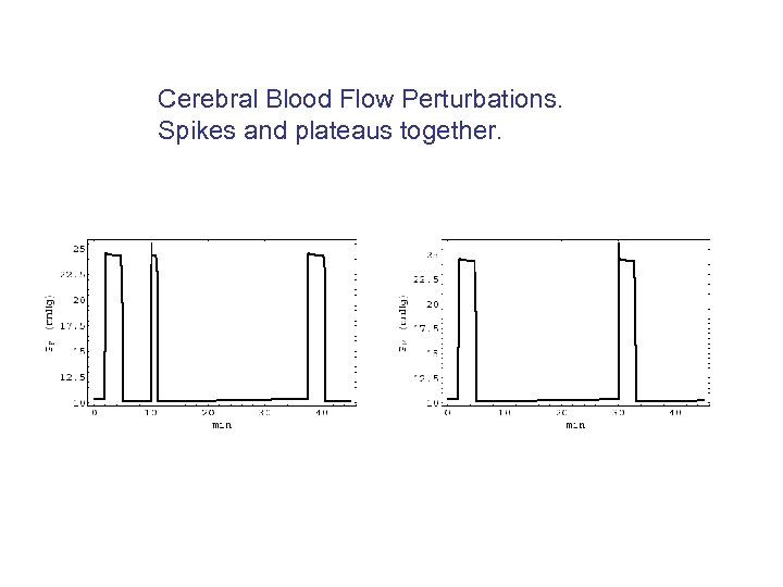 Cerebral Blood Flow Perturbations. Spikes and plateaus together. 