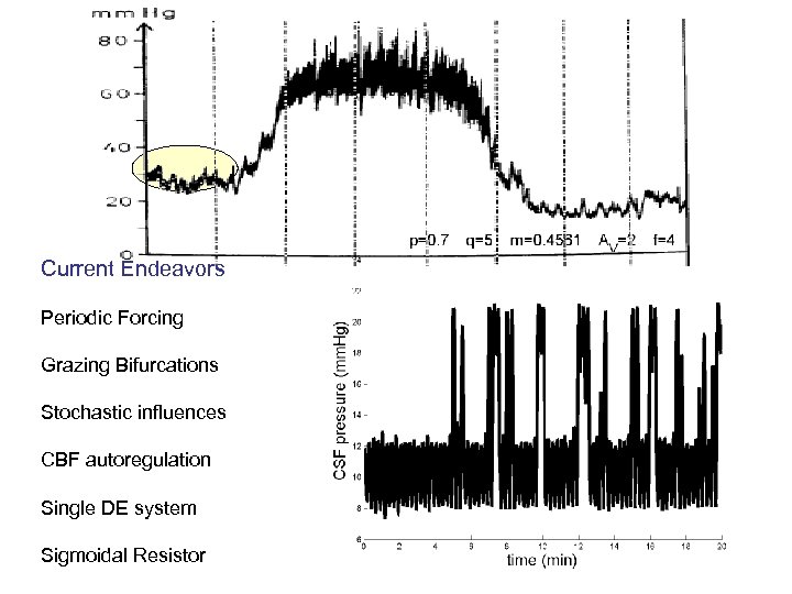 Current Endeavors Periodic Forcing Grazing Bifurcations Stochastic influences CBF autoregulation Single DE system Sigmoidal