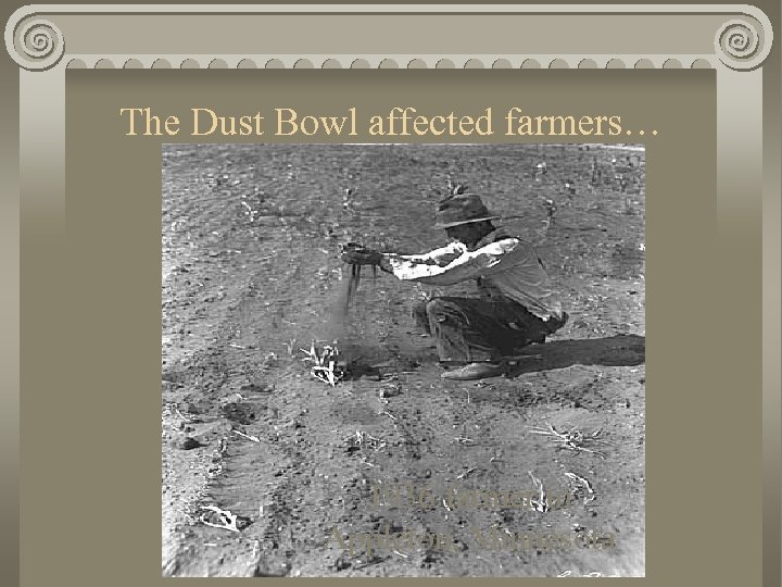 The Dust Bowl affected farmers… 1936 farmer in Appleton, Minnesota 
