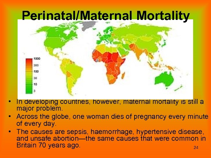 Perinatal/Maternal Mortality • In developing countries, however, maternal mortality is still a major problem.