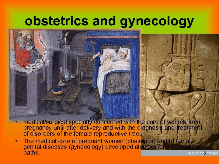 obstetrics and gynecology • medical/surgical specialty concerned with the care of women from pregnancy