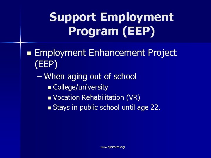 Support Employment Program (EEP) n Employment Enhancement Project (EEP) – When aging out of