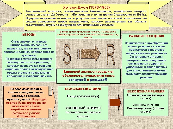 Картинка стимул реакция