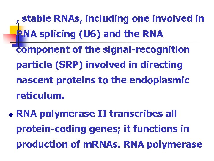 , stable RNAs, including one involved in RNA splicing (U 6) and the RNA