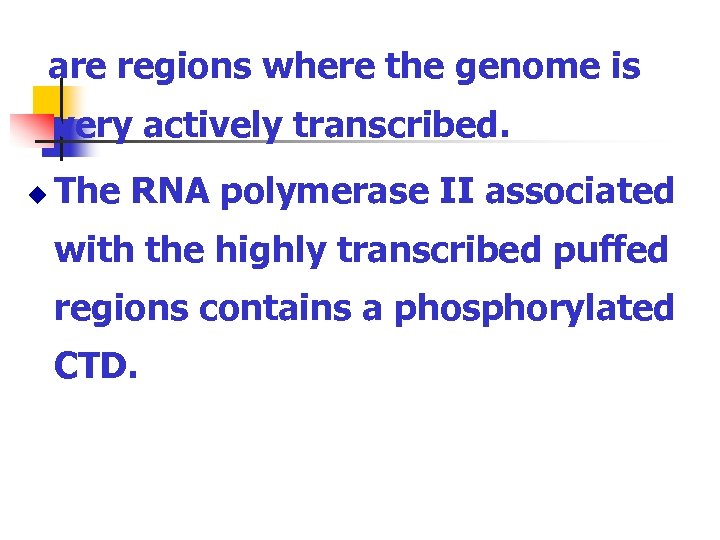 are regions where the genome is very actively transcribed. u The RNA polymerase II