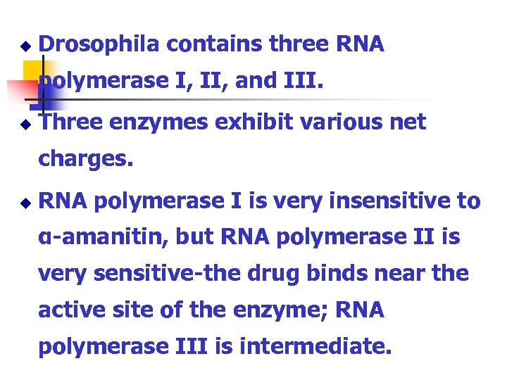 u Drosophila contains three RNA polymerase I, II, and III. u Three enzymes exhibit