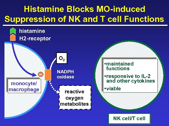 Histamine Blocks MO-induced Suppression of NK and T cell Functions histamine H 2 -receptor