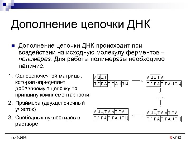 Дополнение цепочки ДНК n Дополнение цепочки ДНК происходит при воздействии на исходную молекулу ферментов
