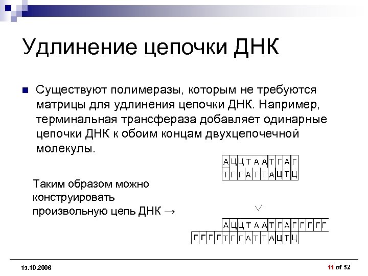 Удлинение цепочки ДНК n Существуют полимеразы, которым не требуются матрицы для удлинения цепочки ДНК.