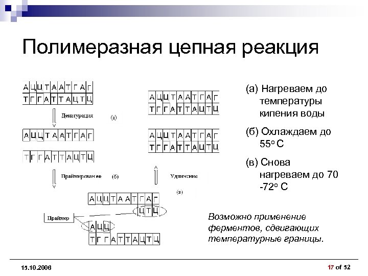 Полимеразная цепная реакция (а) Нагреваем до температуры кипения воды (б) Охлаждаем до 55 o