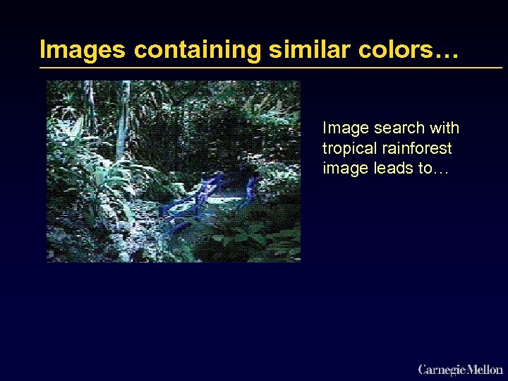 Images containing similar colors… Image search with tropical rainforest image leads to… 