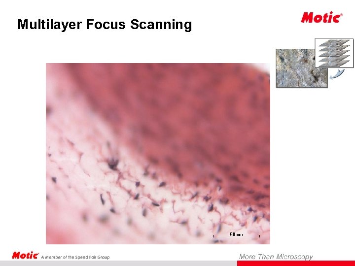 Multilayer Focus Scanning 