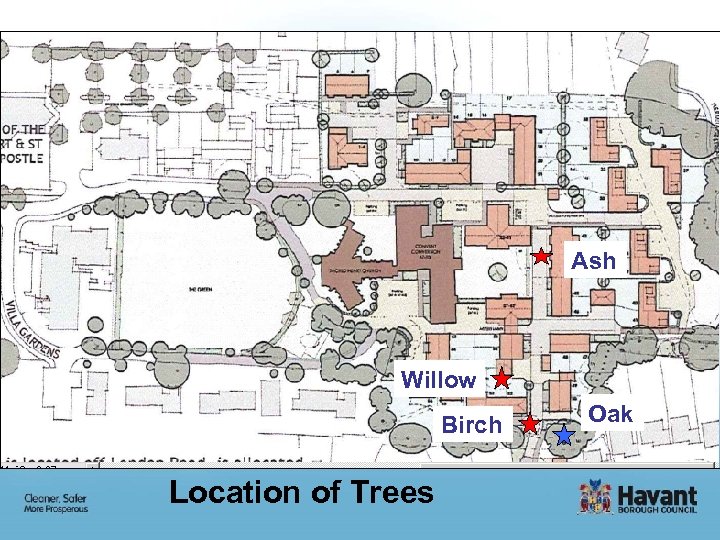 Ash Willow Birch Location of Trees Oak 