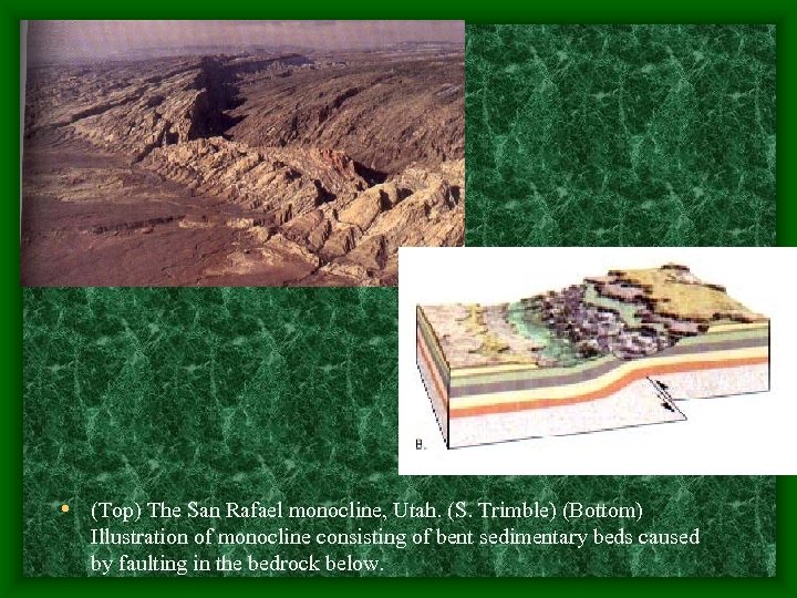 • (Top) The San Rafael monocline, Utah. (S. Trimble) (Bottom) Illustration of monocline