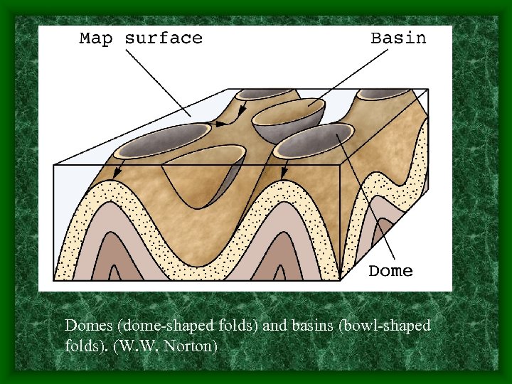 Domes (dome-shaped folds) and basins (bowl-shaped folds). (W. W. Norton) 
