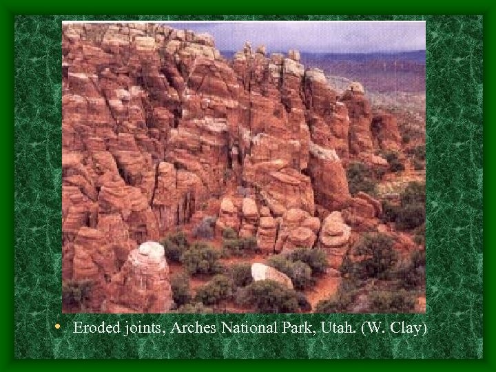  • Eroded joints, Arches National Park, Utah. (W. Clay) 