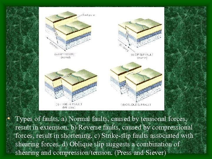  • Types of faults. a) Normal faults, caused by tensional forces, result in