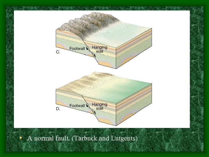  • A normal fault. (Tarbuck and Lutgents) 