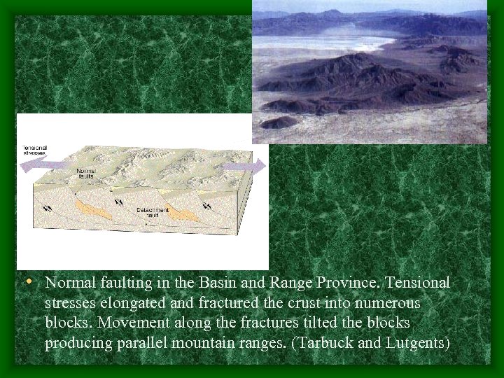 • Normal faulting in the Basin and Range Province. Tensional stresses elongated and