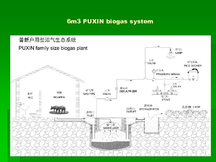 6 m 3 PUXIN biogas system 