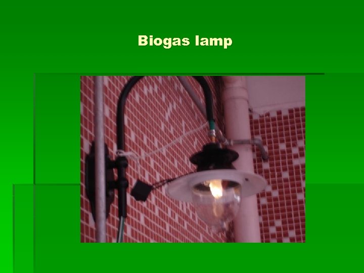 Biogas lamp 