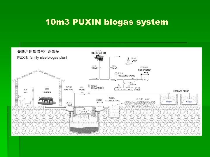 10 m 3 PUXIN biogas system 