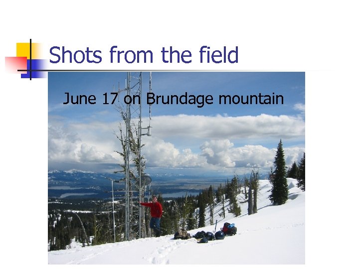 Shots from the field June 17 on Brundage mountain 