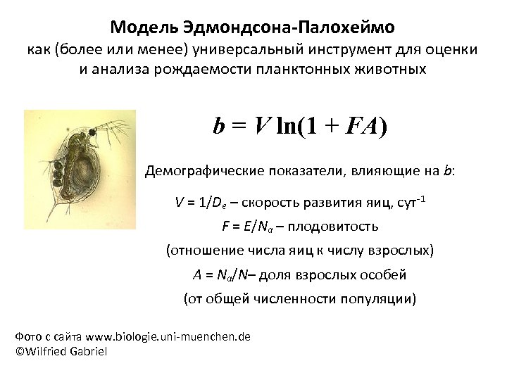 Модель Эдмондсона-Палохеймо как (более или менее) универсальный инструмент для оценки и анализа рождаемости планктонных