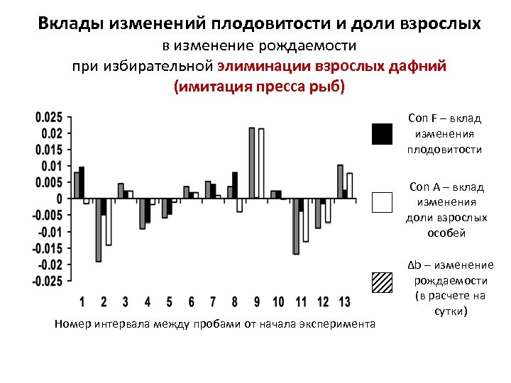 Вклады изменений плодовитости и доли взрослых в изменение рождаемости при избирательной элиминации взрослых дафний