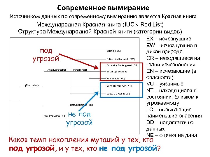 Современное вымирание Источником данных по современному вымиранию является Красная книга Международная Красная книга (IUCN